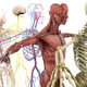 Imagen para el artículo titulado 13 curiosos datos sobre el cuerpo humano que probablemente nunca habías oído